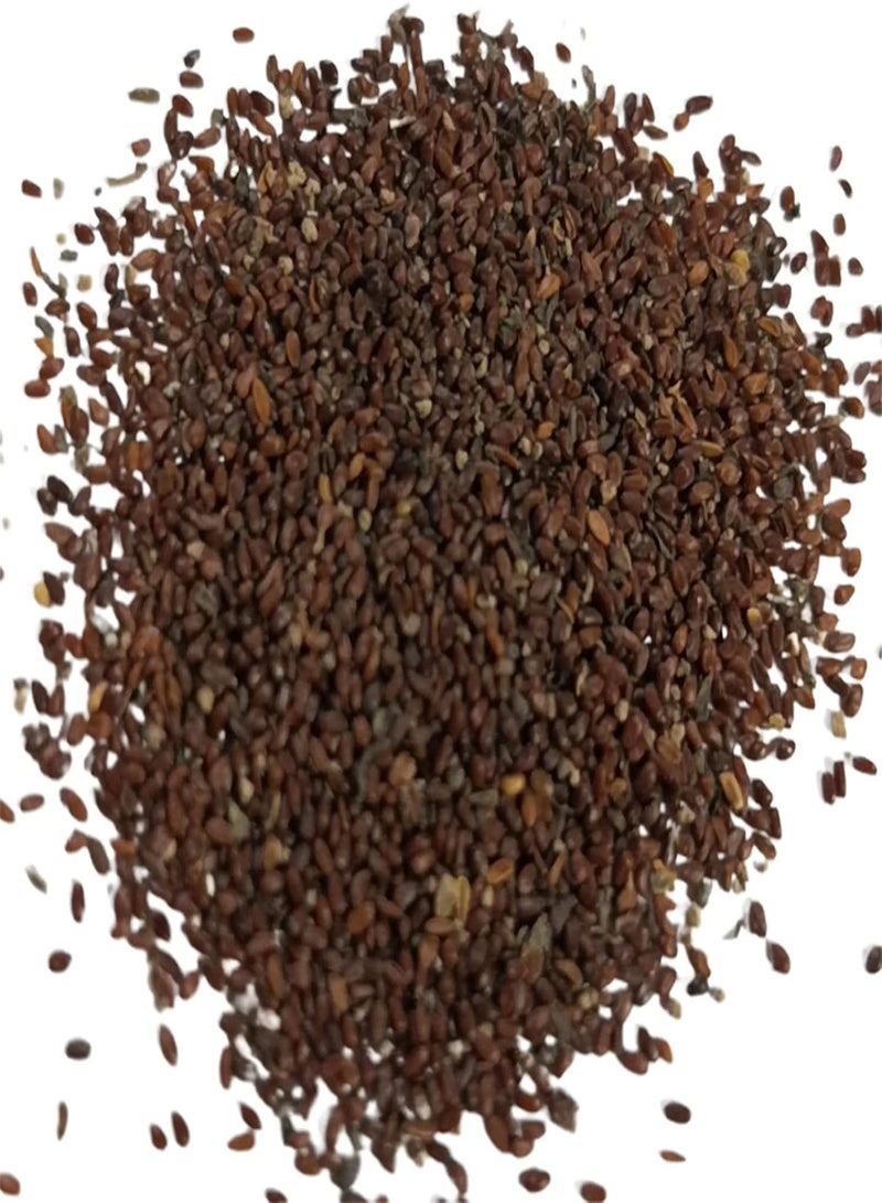 GGOOT 100Pcs Tulip Flower Seeds Perennial Tulip seeds Flower Seeds Potted Plants High Germination Rate Beautiful Flowers for Garden Balcony Outdoor Planting Purple - Image 4