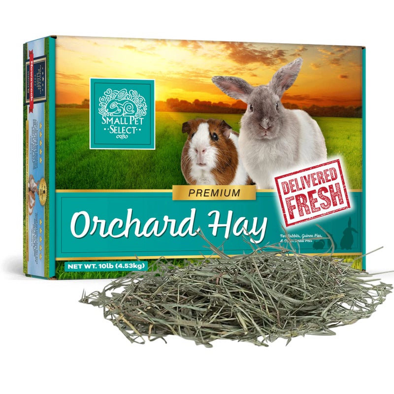 Small Pet Select Orchard Grass Hay Pet Food for Rabbits, Guinea Pigs, Chinchillas and Other Small Animals, Premium Natural Hay Grown in The US, 10 LB - Image 1