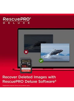 128GB Extreme PRO SDXC card + RescuePRO Deluxe, up to 200MB/s, UHS I, Class 10, U3, V30 SDSDXXD 128G GN4IN 128 GB - pzsku/ZCFE79EC7CCC8C6826F0DZ/45/_/1740378413/51f987cf-54a7-48e6-98c2-08f947f57730