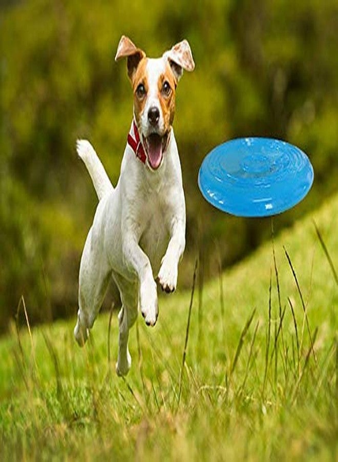 PETLICIOUS & MORE قرص فريسبي للحيوانات الأليفة من بيتليشوس آند مور، قرص طائر للكلاب، لعبة مضغ للكلاب - أفضل قرص طائر من السيليكون الناعم - لعبة لكلبك الصغير (قد يختلف اللون) - عبوة من قطعتين - Image 4