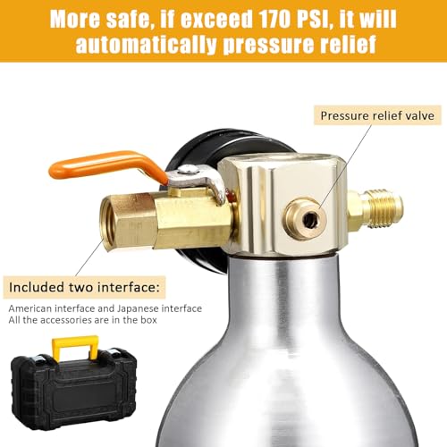 Rossesay AC Flush Kit Air Conditioner System Flush Canister Kit AC Drain Line Cleaner Tool Conditioning Pipeline Cleaning Tool Set with Gauge, Air Fittings and Hose for Car Conditioner Pipe (Novel) - Image 4