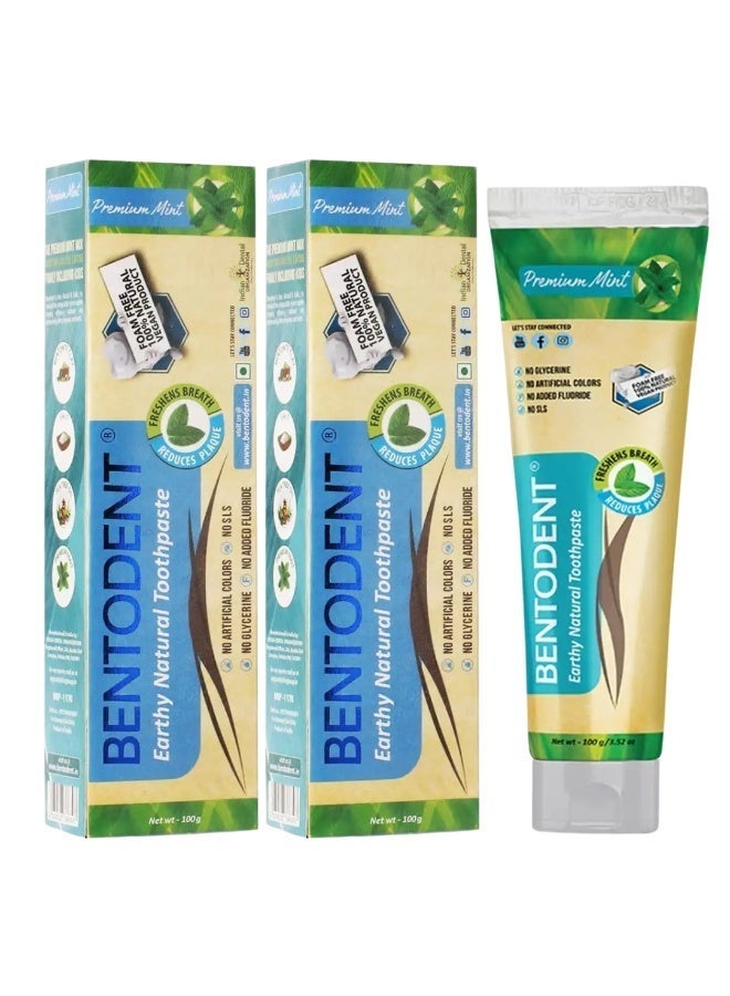 BENTODENT Natural Toothpaste Premium Mint flavor 100g, Pack of 2, Fluoride Free, Foam Free & SLS Free - Image 1