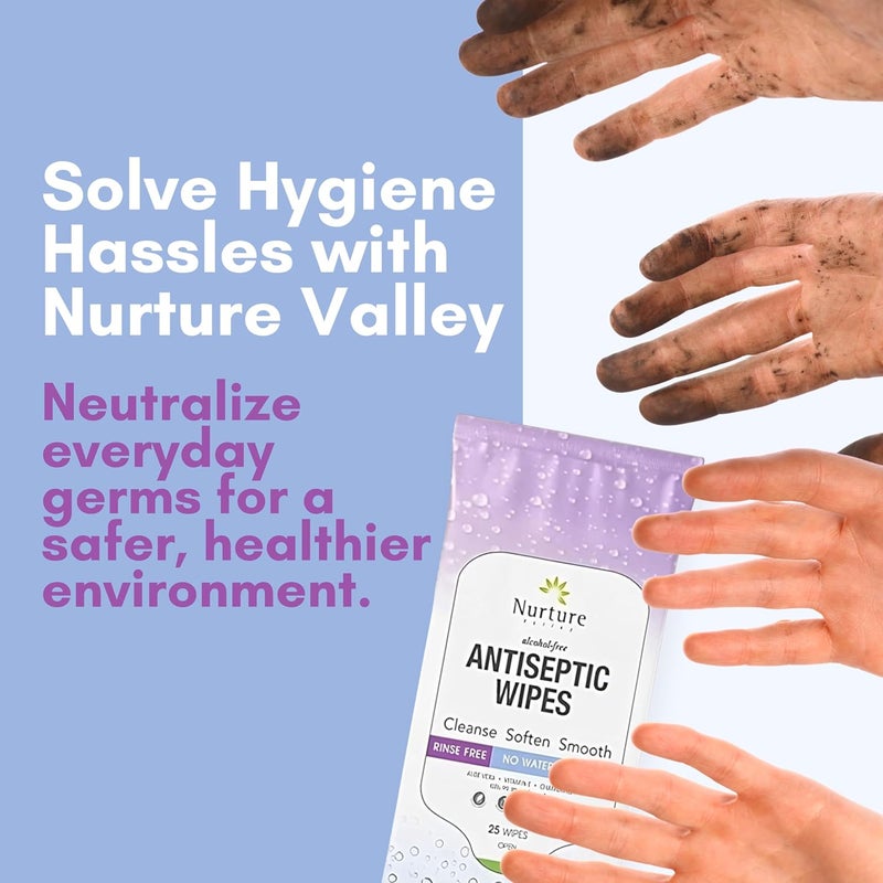 Nurture Valley Nurture XL Antibacterial Body Hand Wipes AlcoholFree Antiseptic Wet Sanitizer Towelettes for Germ Removal Disinfecting Skin Sanitizing Hands Cleaning Cloths Adults Baby Thick Strong - Image 3