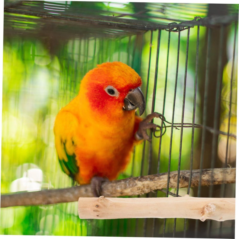 Natural Wooden Bird Perch For Parakeets Beak Grinding And Claw Exercise Cage Toy - Image 5