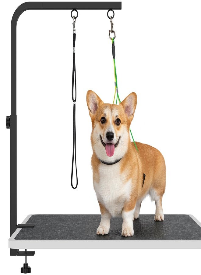 OFIDELITY 29" H Adjustable Height Dogs Grooming Arm with Clamp, Dog Grooming Table Arm with Loop Noose and No Sit Haunch Holder, Perfect Dog Restraint for Small & Medium Dogs，Arm for Grooming Tables - Image 1