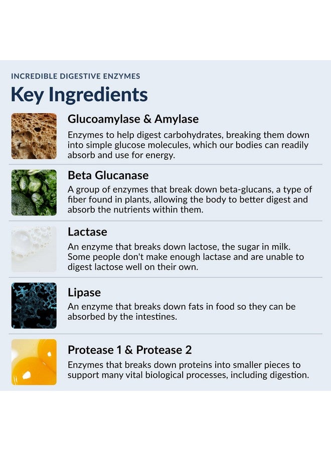 Stonehenge Health Stonehenge Health Incredible Digestive Enzymes - 18 Plant-Based Enzymes - Lipase, Lactase, Protease, Amylase, Bromelain for Gas, Bloating, Fatigue (1) - Image 4