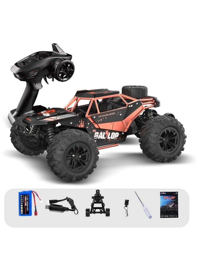 Generic Remote Control Car 2.4GHz High-Speed Racer – 1:16 Off-Road ...