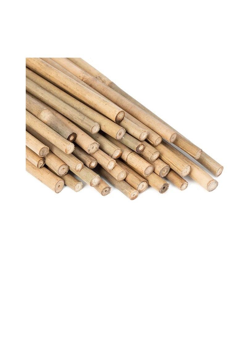 Generic Plant Stakes Natural Garden Bamboo Sticks for Indoor and Outdoor Plants GAGINANG 20pcs Plant Support Stakes for Tomatoes Beans Potted Plants 18 inches  - Image 1
