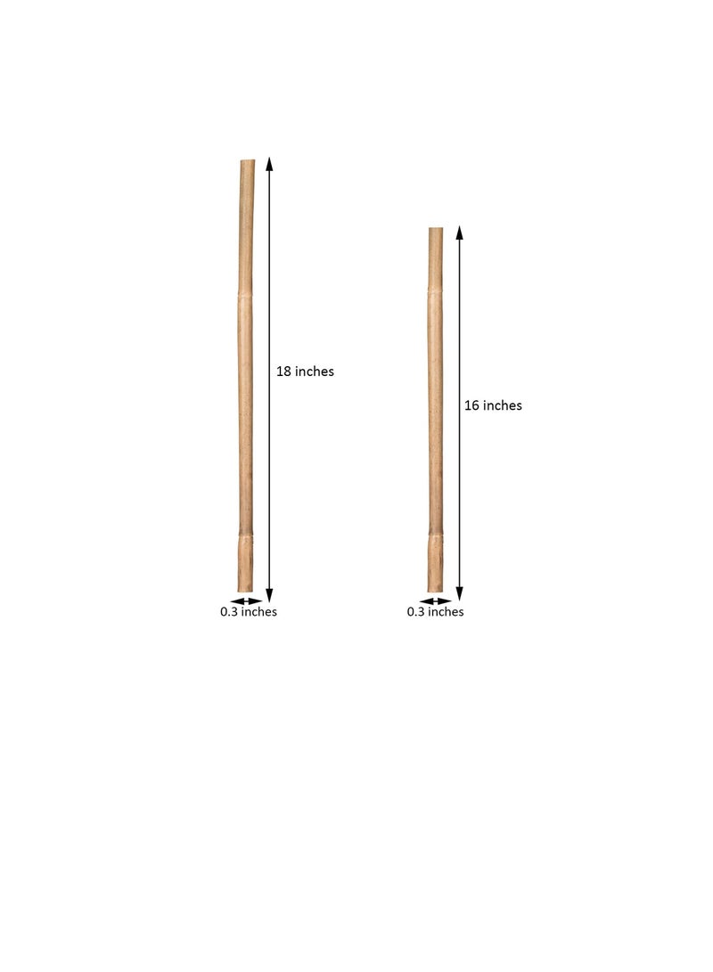 Generic Plant Stakes Natural Garden Bamboo Sticks for Indoor and Outdoor Plants GAGINANG 20pcs Plant Support Stakes for Tomatoes Beans Potted Plants 18 inches  - Image 2