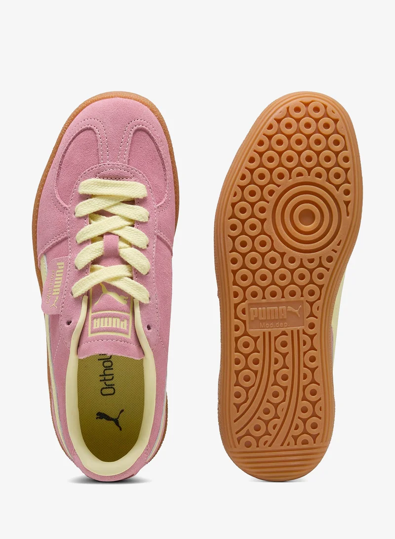 بوما باليرمو