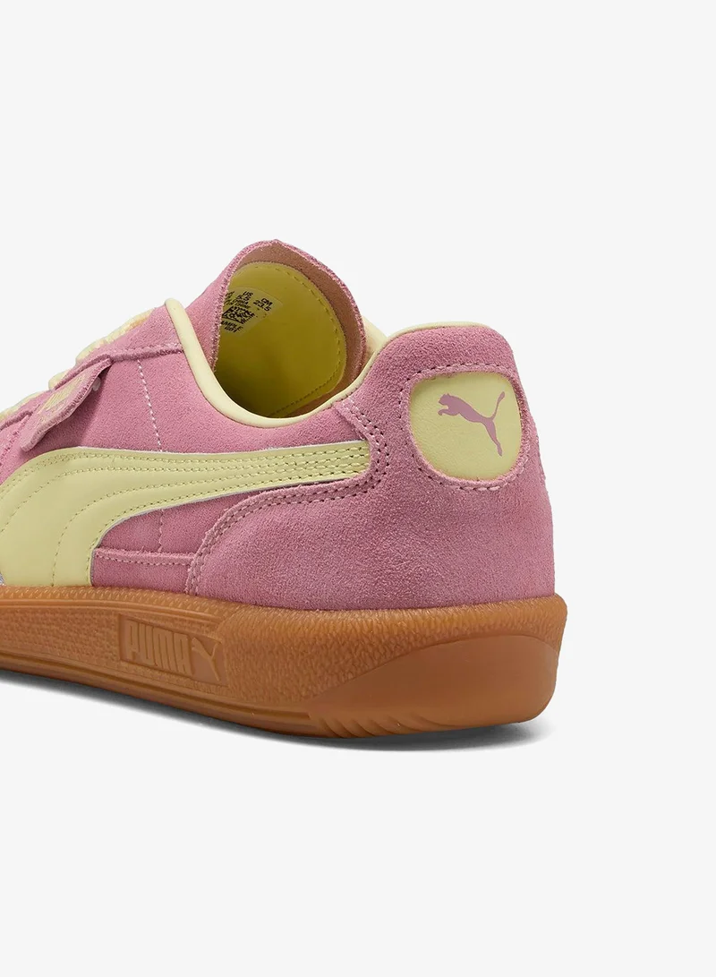 بوما باليرمو