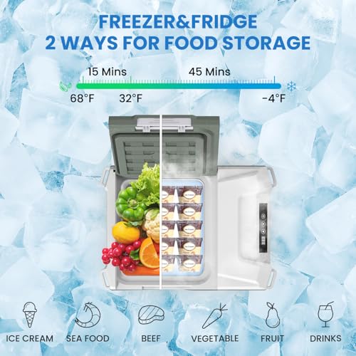 Alpicool 12 Volt Refrigerator 12V Car Fridge 10 Quart Small Car Refrigerator Portable Fridge 12/24V DC 110~240 Volt AC for Truck RV Camper SUV Portable Freezer Electric Cooler for Camping (-4℉-68℉) - Image 2