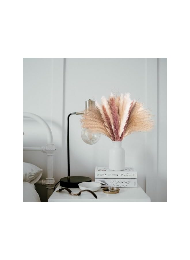 The Bros Natural Dried Pampas Grass Bouquet : Brown White Reed Pampas Floral Arrangements Decorations for Home Room Office Party Decor (60PCS) - Image 3