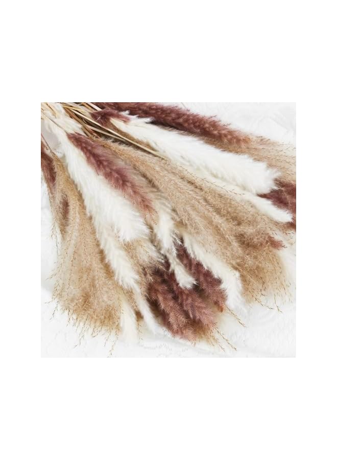 The Bros Natural Dried Pampas Grass Bouquet : Brown White Reed Pampas Floral Arrangements Decorations for Home Room Office Party Decor (60PCS) - Image 2