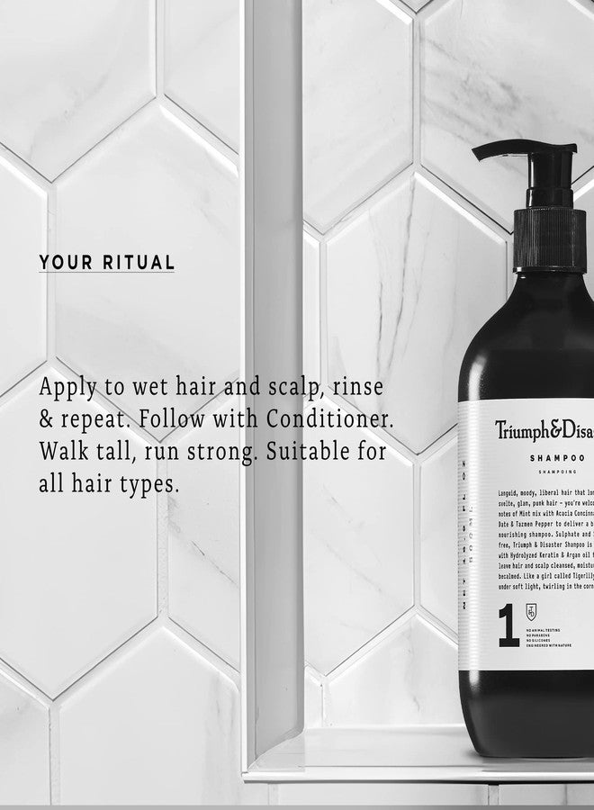 TRIUMPH & DISASTER | Shampoo, Deep Cleansing - Soothes & Hydrates Sensitive, Dry and Damaged Hair & Scalp with Keratin for Men & Women, 16.9 fl oz - Image 5