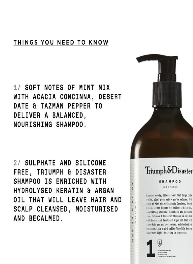 TRIUMPH & DISASTER | Shampoo, Deep Cleansing - Soothes & Hydrates Sensitive, Dry and Damaged Hair & Scalp with Keratin for Men & Women, 16.9 fl oz - Image 2
