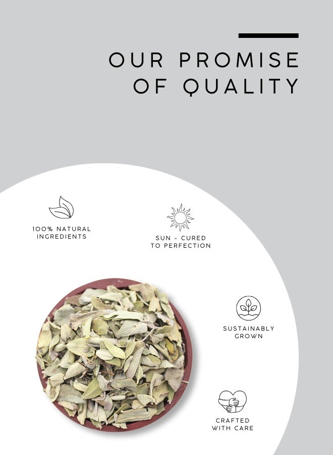 أباميك أوراق المريمية البيضاء الكاليفورنية (Salvia apiana) من شركة أوافي ميل - 500 غرام | 17.6 أونصة - Image 4