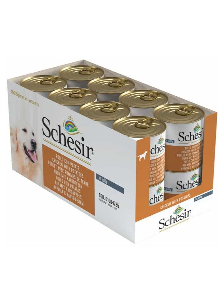 Schesir 16PC Dog Wet Food-Chicken With Potatoes 285g - Image 1