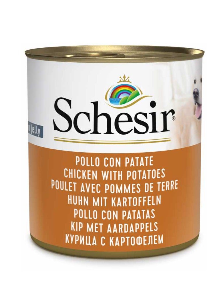 Schesir 16PC Dog Wet Food-Chicken With Potatoes 285g - Image 2