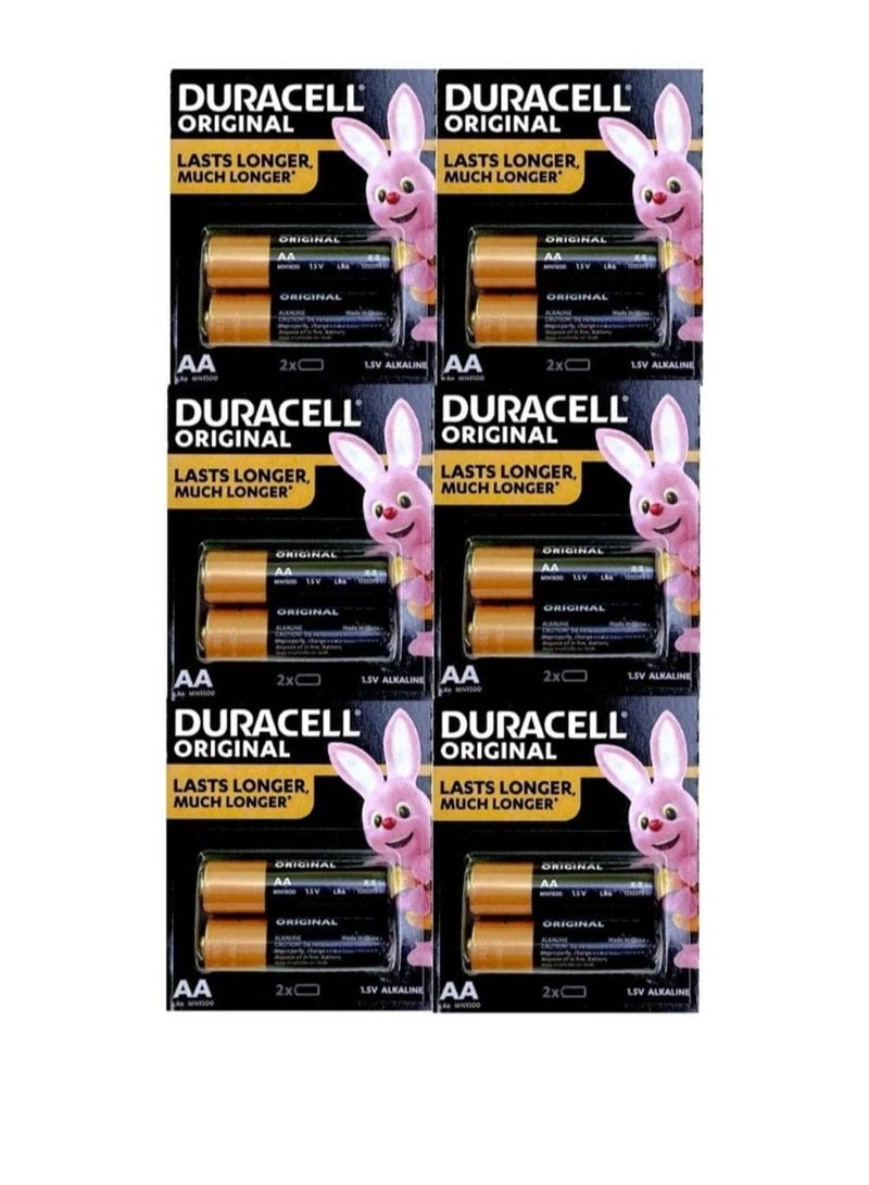 Duracell Original Power Type AA Alkaline Battery  - Image 1