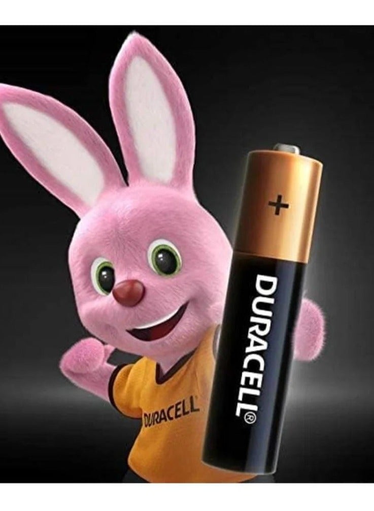 Duracell Original Power Type AA Alkaline Battery  - Image 2
