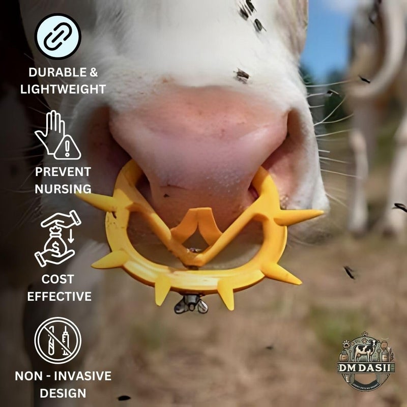 DM DASII MAT حلقة أنف DM DASII لفطام الماشية - حلقات أنف شائكة من PVC متينة للعجول والماشية، تصميم قابل للتعديل والإزالة مع برغي ثابت لفطام آمن (4) - Image 3