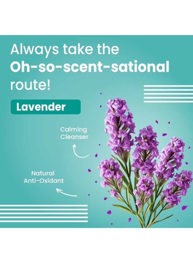 Bark out Loud Tick and Flea Shampoo for Dogs Cats Neem Citronella Kills Repels Parasites Lice Soothes Itching Fresh Smell Spa Care 200ml - Image 4