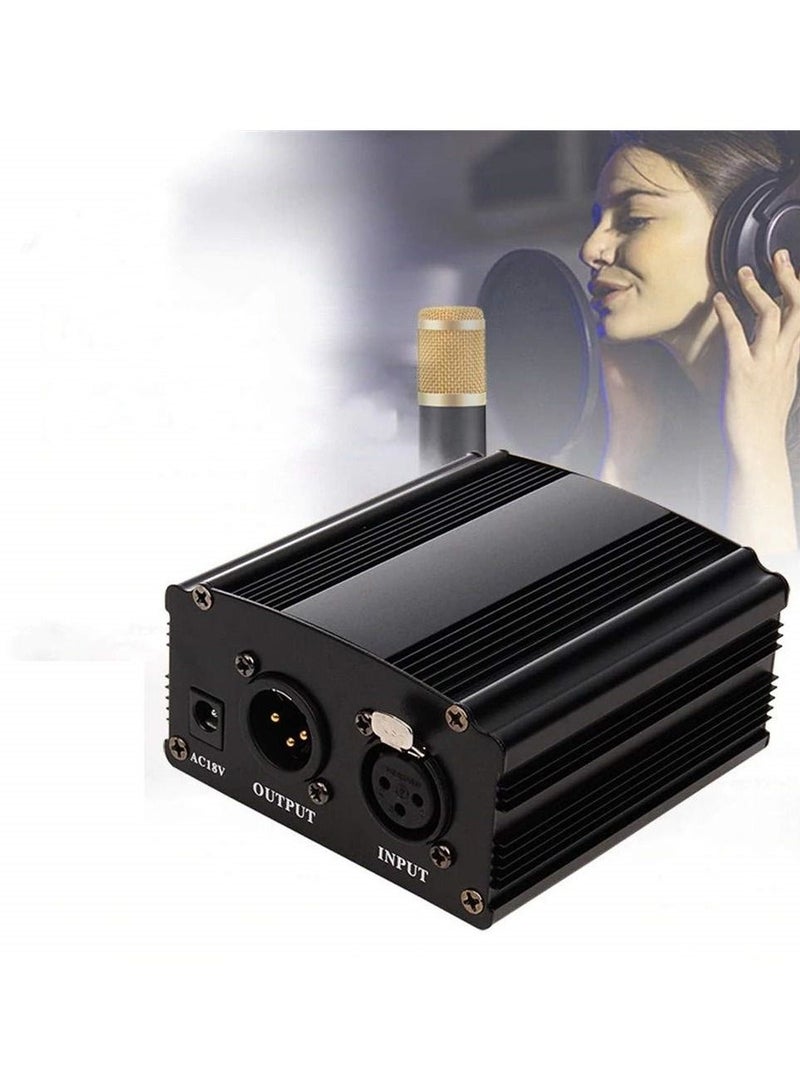 1-channel 48V phantom power supply with adapter for any condenser microphone music recording equipment - Image 1