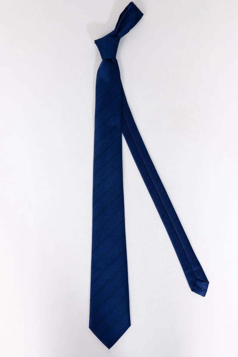 تودورس Classic Pocket Handkerchief Patterned Saks Blue Tie