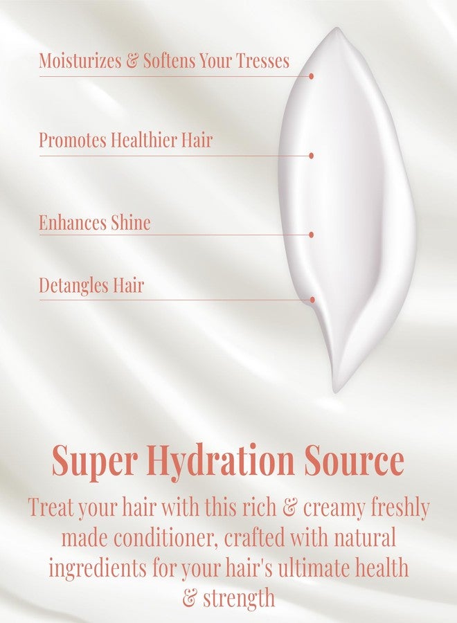 NaturAll Sea Moss & Chebe Anti Frizz Conditioner - Sulfate-Free Curl Hair Conditioner for Dry Hair - Detangles, Softens & Moisturizes Dry, Damaged Hair, Helps Reduce Breakage & Smooth Frizz (8.5 Oz) - Image 2