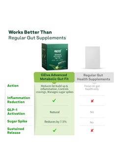 OZiva Advanced Metabolic Gut Fit Gut Metabolic Health Cinnamon Polyphenols B420 Probiotic Oat Fiber Prebiotic 30 Sachets 30 Effervescent Tablets  - Image 5