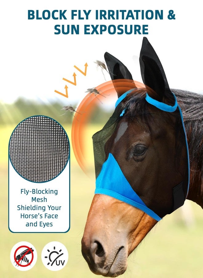 Hilltown Fly Mask for Horse with Ears - UV-Block, Large Eye Space, Adjustable, Breathable, Built to Last for Daily Stable, Hot Weather Riding and Competition - Horse, Blue - Image 2