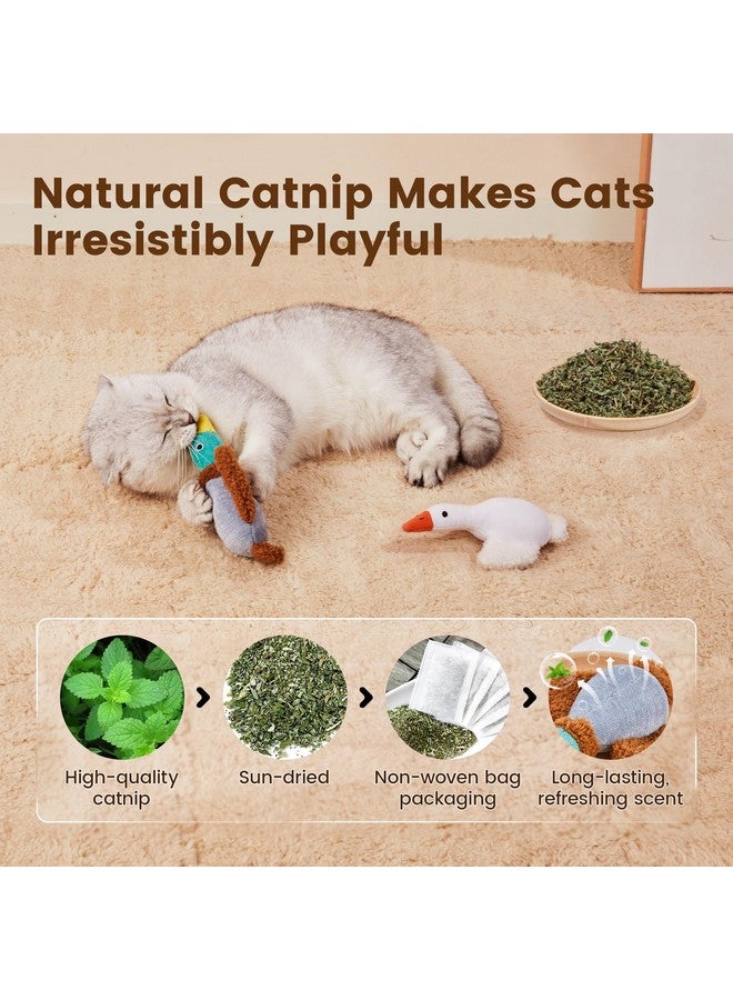 Potaroma Birds Cat Toys, 2 Pack Catnip Toys Soft Durable, Crinkle Sound Kicker Toys for Interactive Indoor Kitten Exercise 6.5 Inches for All Breeds - Image 3