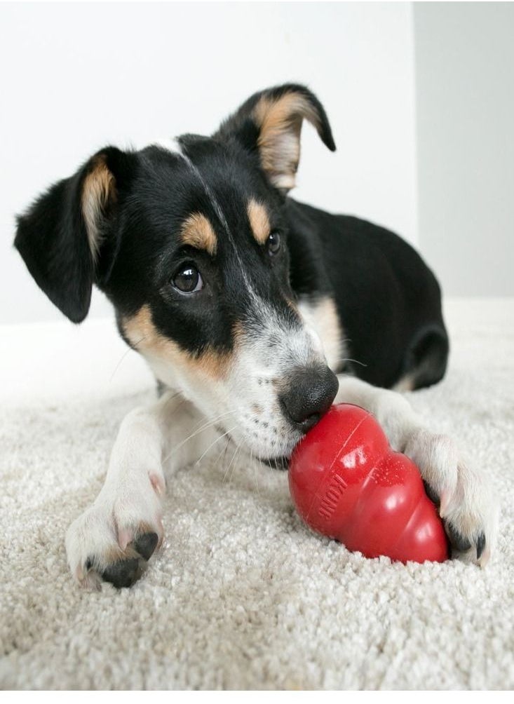 Classic Super Chewy Bouncy Dog Toy Red