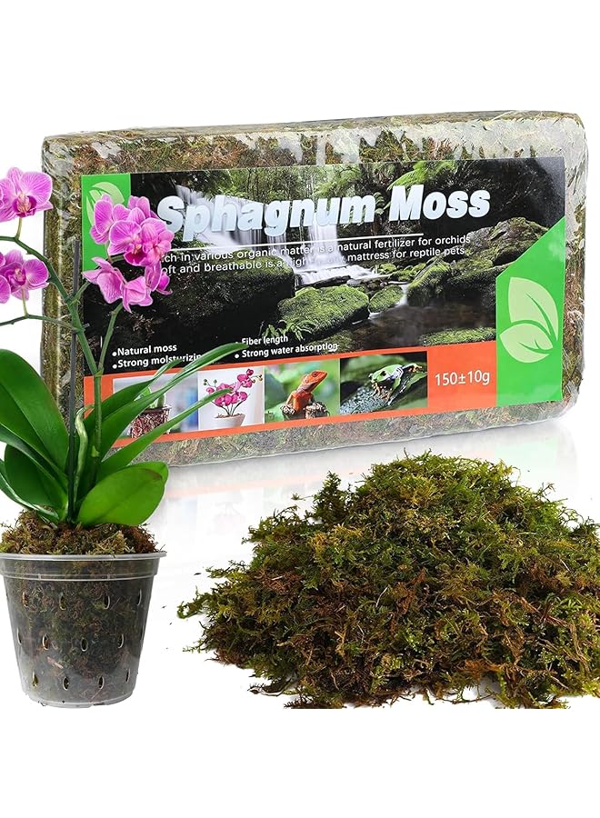 erorex 150G Green Moss For Crafts Artificial Moss Decorative Moss For Potted Plant Orchid Moss Potting Mix Soil Peat Sphagnum Moss Pole Craft Arts Floral Wedding Decor 1Pcs - Image 1