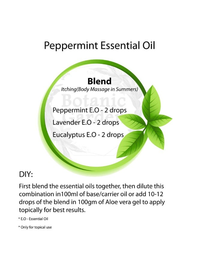 BOTANIC GARDEN PEPPERMINT/Mentha Piperita ESSENTIAL OIL PURE & UNDILUTED,BEST FOR HAIR & DANDRUFF (30 ML) Brand: BOTANIC GARDEN - Image 4
