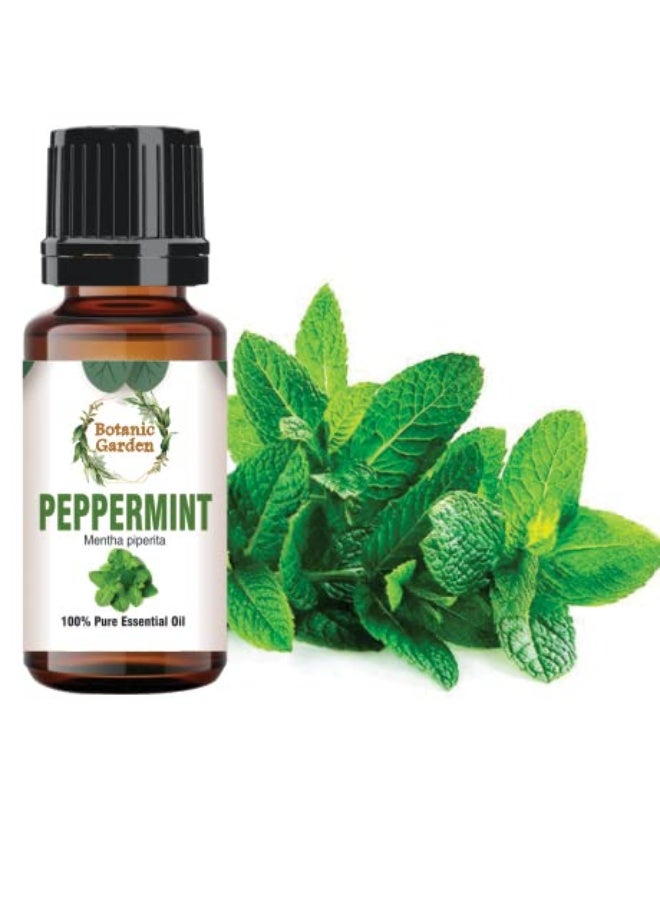BOTANIC GARDEN PEPPERMINT/Mentha Piperita ESSENTIAL OIL PURE & UNDILUTED,BEST FOR HAIR & DANDRUFF (30 ML) Brand: BOTANIC GARDEN - Image 1