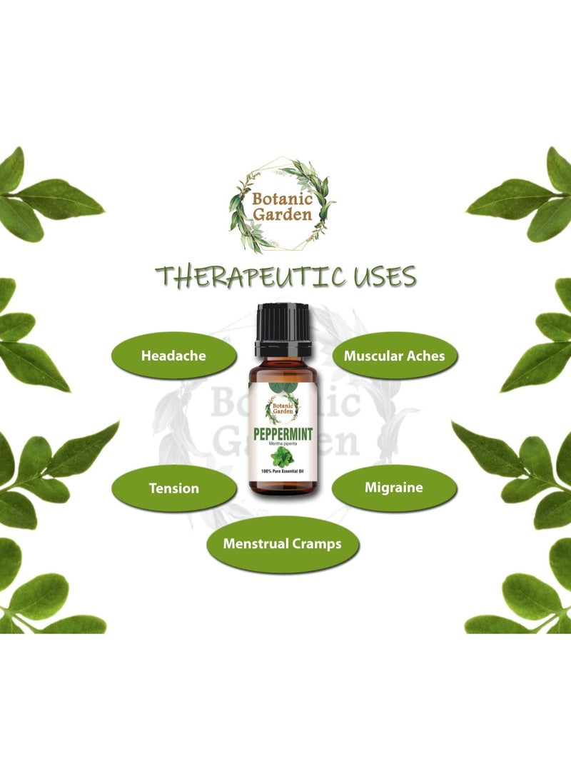 BOTANIC GARDEN PEPPERMINT/Mentha Piperita ESSENTIAL OIL PURE & UNDILUTED,BEST FOR HAIR & DANDRUFF (30 ML) Brand: BOTANIC GARDEN - Image 3