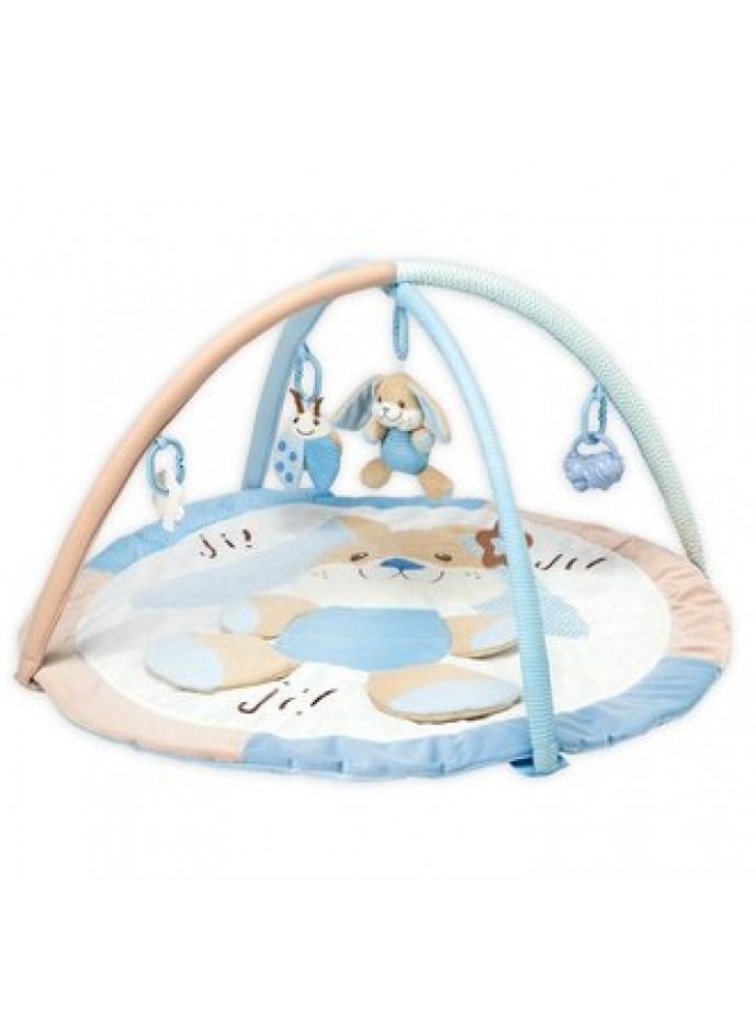 Saro Super Soft Interactive Blanket