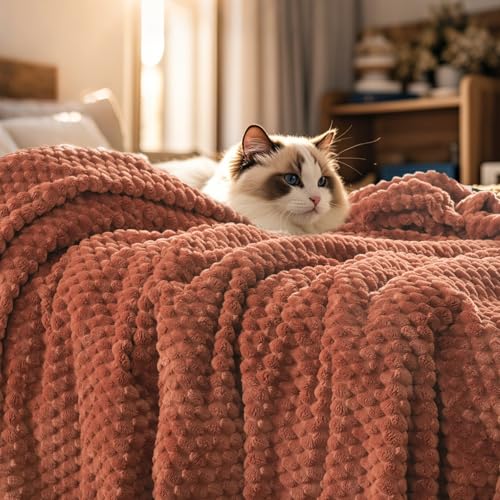 PHF Ultra Soft Flannel Fleece Blanket Queen Size Lightweight 3D Jacquard Fleece Blanket No Shedding No Pilling Luxury 340GSM Aesthetic Fluffy Cozy for Bed Room Decor 90x90 Terracotta - Image 1