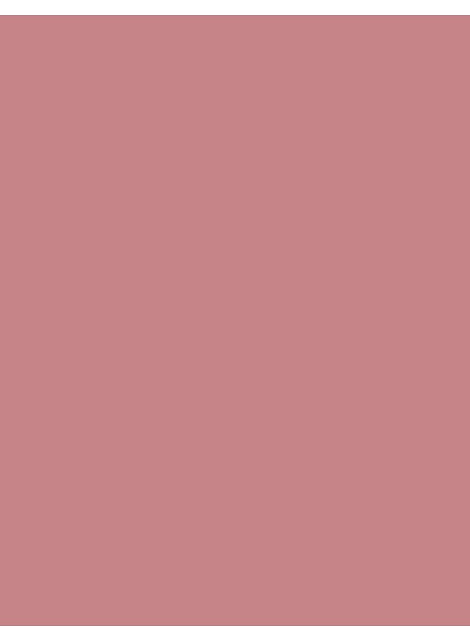 flormar Lightweight Lip Powder – 009 Fall Rose – Matte Finish Lip Color, Powder-Soft Texture, Lightweight Feel, Smooth Comfortable Wear 009-FALL ROSE - Image 4