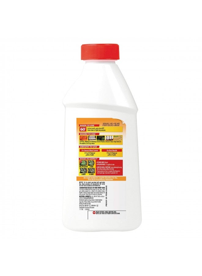Spectracide Weed And Grass Killer Concentrate 16 Ounces, Use On Patios, Walkways And Driveways