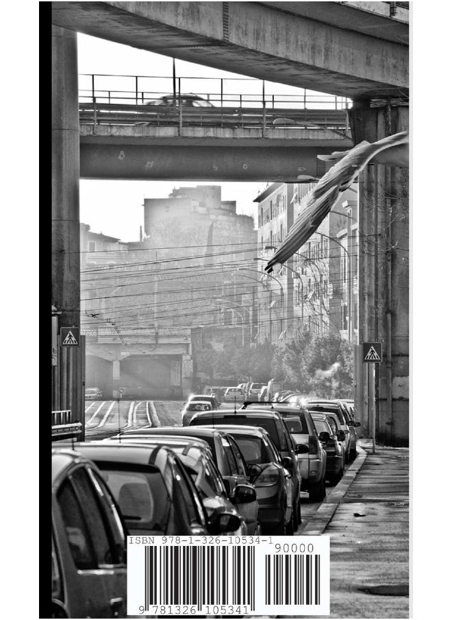 Guida Segreta Per Aspiranti Fotoreporter  - Image 2