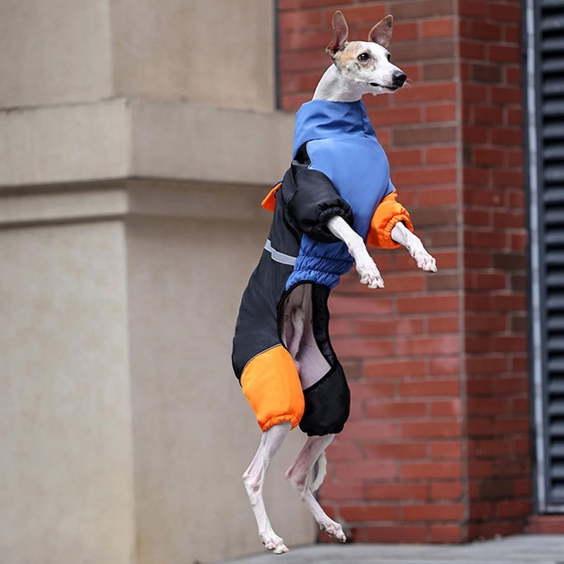 Dog Jackets Fashion Colorful Design Warm Winter Clothes Reflective Design 4 Leg Coat for Nighttime Visibility Protections Thermal Dog Jackets for Winter - Image 5