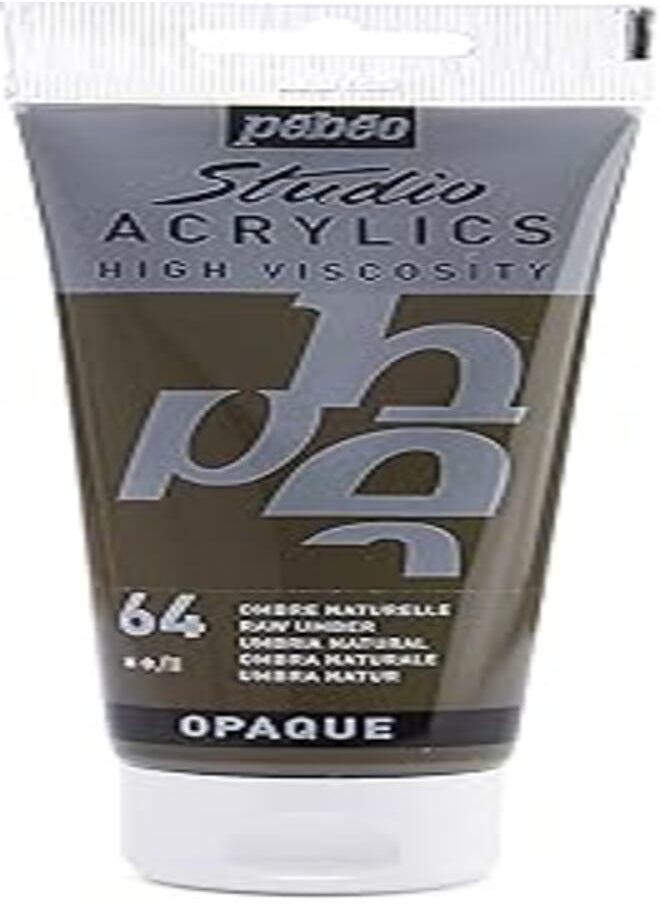 Pebeo PEBEO - Acrylic Fine Studio Acrylics - Raw Umber - Raw Umber 100ml/3.38oz 