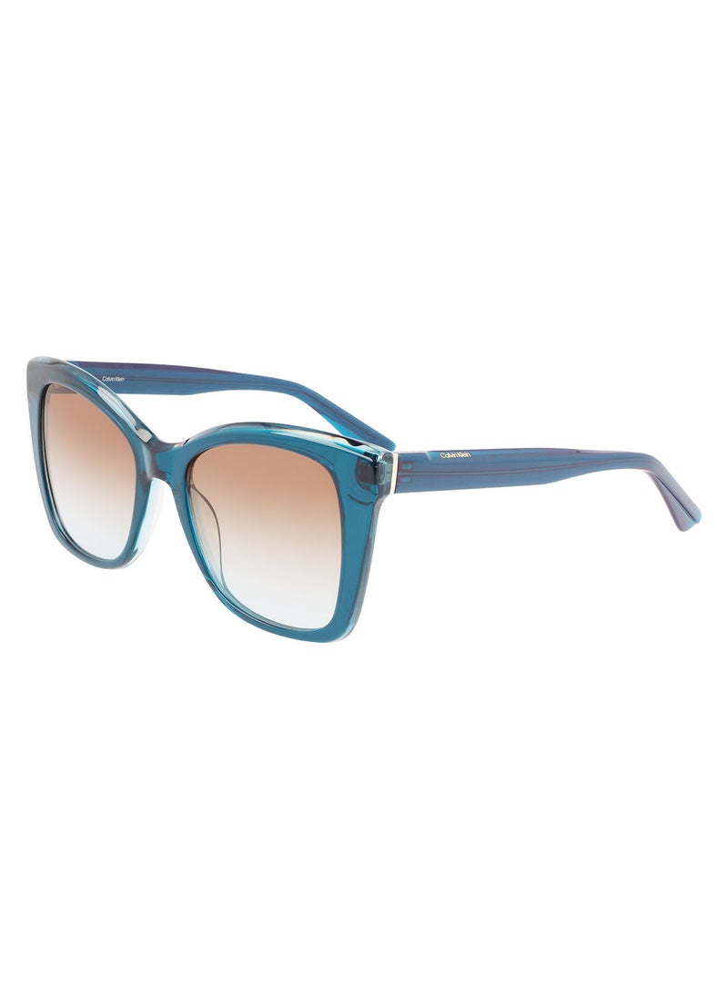 CALVIN KLEIN Full Rim Acetate Butterfly Calvin Klein Sun Ck22530S 5319 (432) Petrol  - Image 1