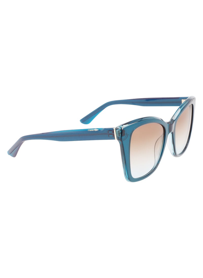 CALVIN KLEIN Full Rim Acetate Butterfly Calvin Klein Sun Ck22530S 5319 (432) Petrol  - Image 2