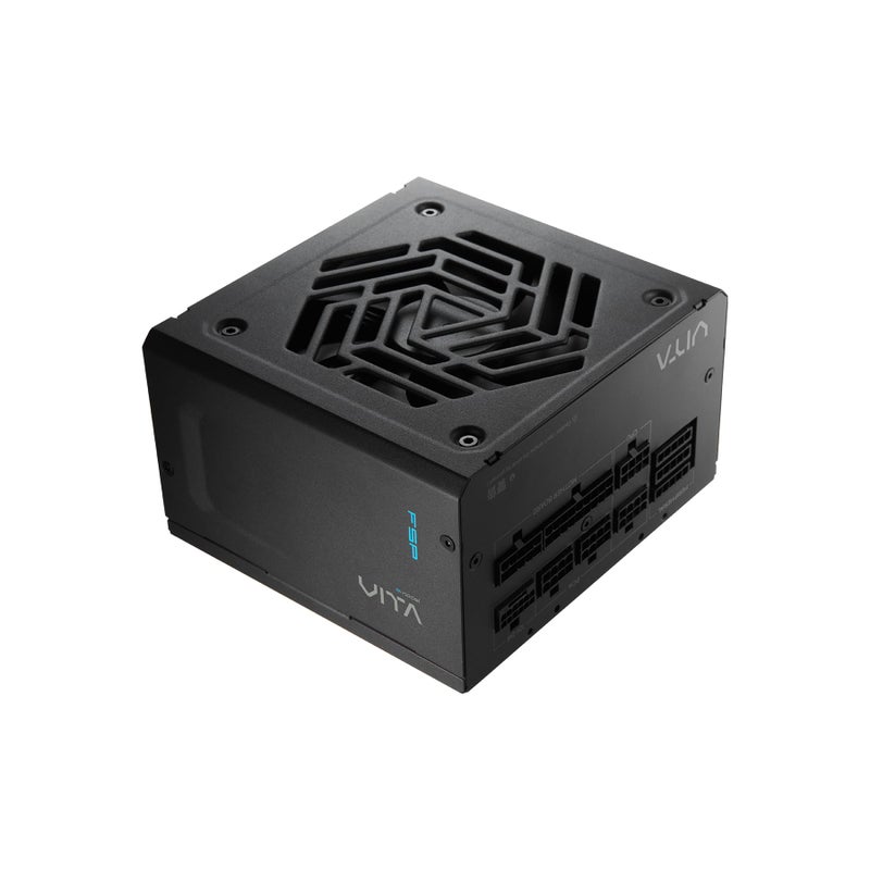 FSP VITA GM 1000W Power Supply, 80 Plus Gold, ATX 3.1/PCIe 5.1, Full Modular, 10 Year Warranty (VITA-1000GM) - Image 1