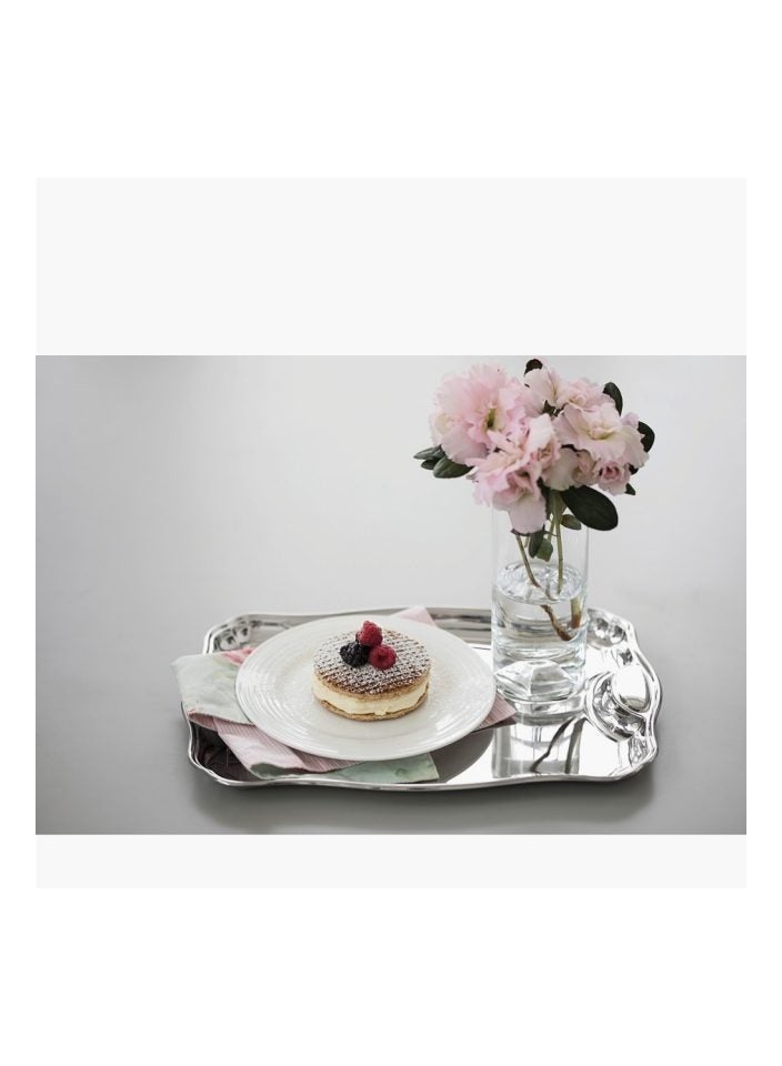 ترامونتينا صينية مستطيلة من الفولاذ المقاوم للصدأ بقياس 36x25 سم. - Image 2