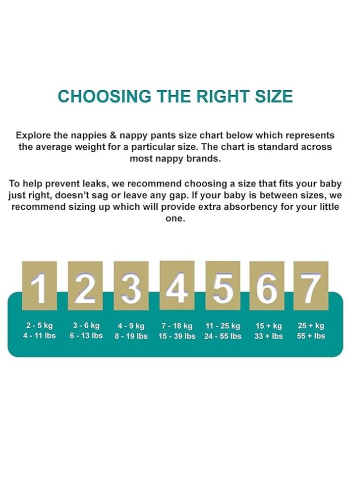 Predo - Predo Baby Premium Diaper Pants, Maxi 7-18kg, Size 4, Pack of 40 - Soft, Absorbent, Leak-Proof Comfort - Image 1